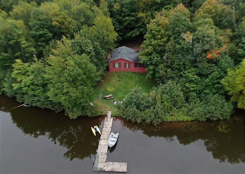 Tranquility on Teal Lake